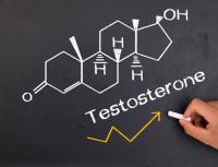 Как повысить тестостерон у мужчин — препараты, продукты